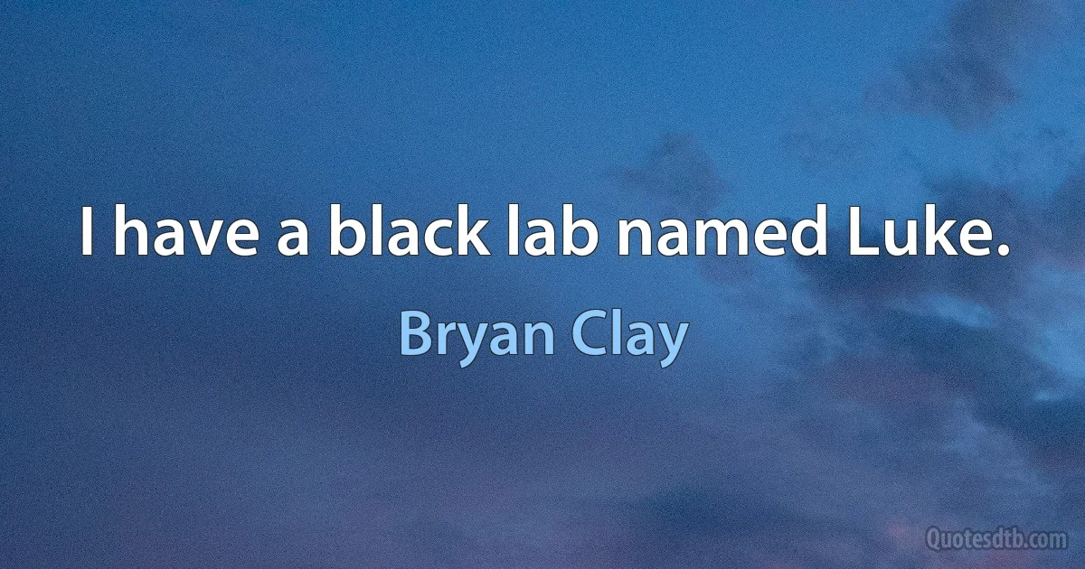 I have a black lab named Luke. (Bryan Clay)