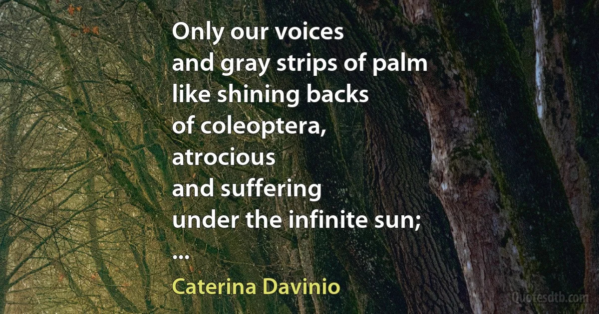 Only our voices
and gray strips of palm
like shining backs
of coleoptera,
atrocious
and suffering
under the infinite sun;
... (Caterina Davinio)