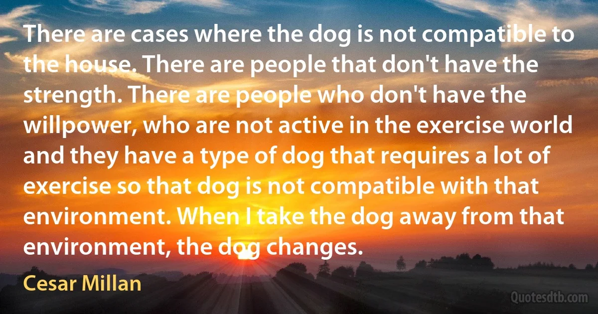 There are cases where the dog is not compatible to the house. There are people that don't have the strength. There are people who don't have the willpower, who are not active in the exercise world and they have a type of dog that requires a lot of exercise so that dog is not compatible with that environment. When I take the dog away from that environment, the dog changes. (Cesar Millan)