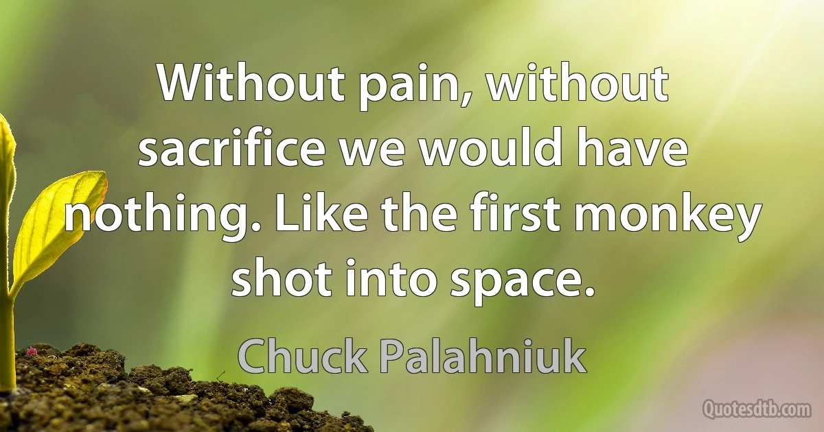 Without pain, without sacrifice we would have nothing. Like the first monkey shot into space. (Chuck Palahniuk)