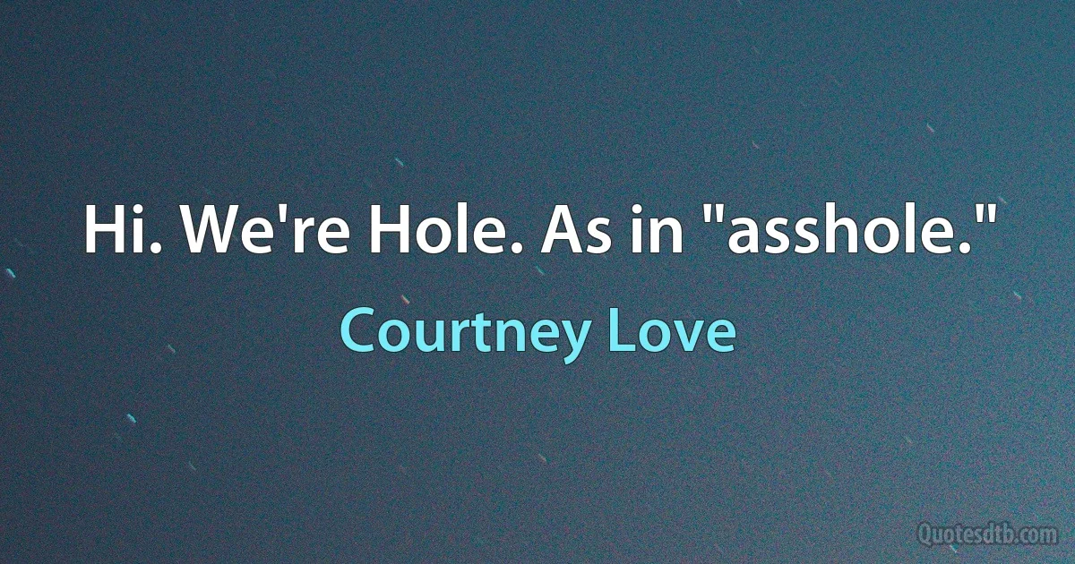 Hi. We're Hole. As in "asshole." (Courtney Love)