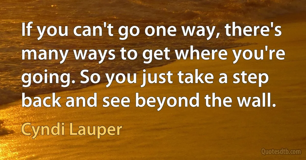 If you can't go one way, there's many ways to get where you're going. So you just take a step back and see beyond the wall. (Cyndi Lauper)