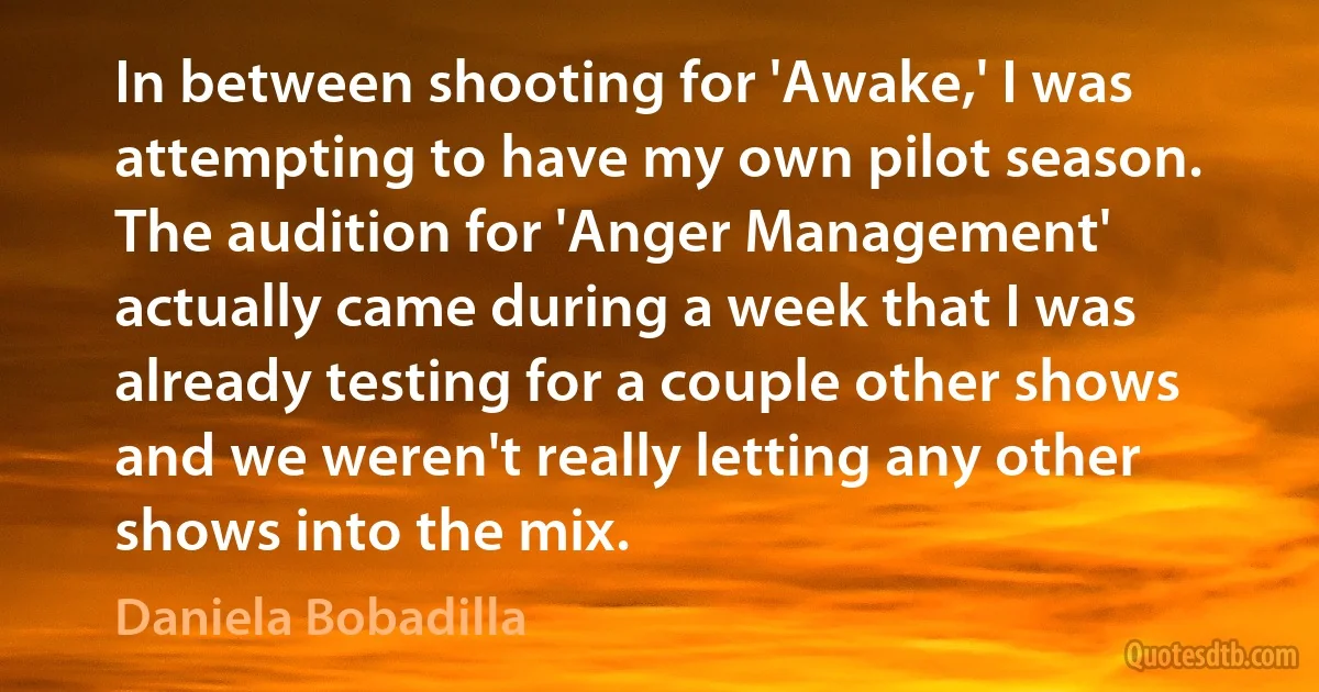 In between shooting for 'Awake,' I was attempting to have my own pilot season. The audition for 'Anger Management' actually came during a week that I was already testing for a couple other shows and we weren't really letting any other shows into the mix. (Daniela Bobadilla)