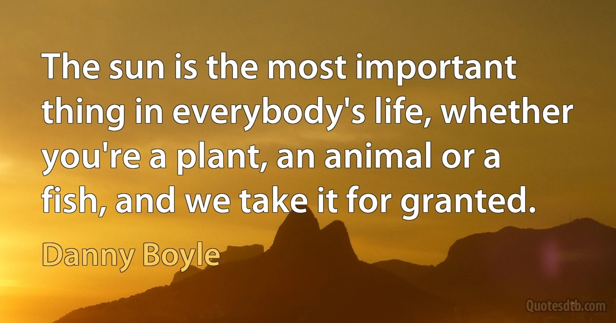 The sun is the most important thing in everybody's life, whether you're a plant, an animal or a fish, and we take it for granted. (Danny Boyle)