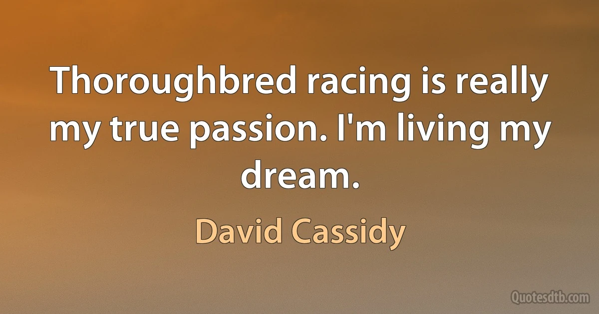 Thoroughbred racing is really my true passion. I'm living my dream. (David Cassidy)