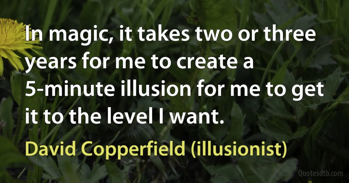 In magic, it takes two or three years for me to create a 5-minute illusion for me to get it to the level I want. (David Copperfield (illusionist))