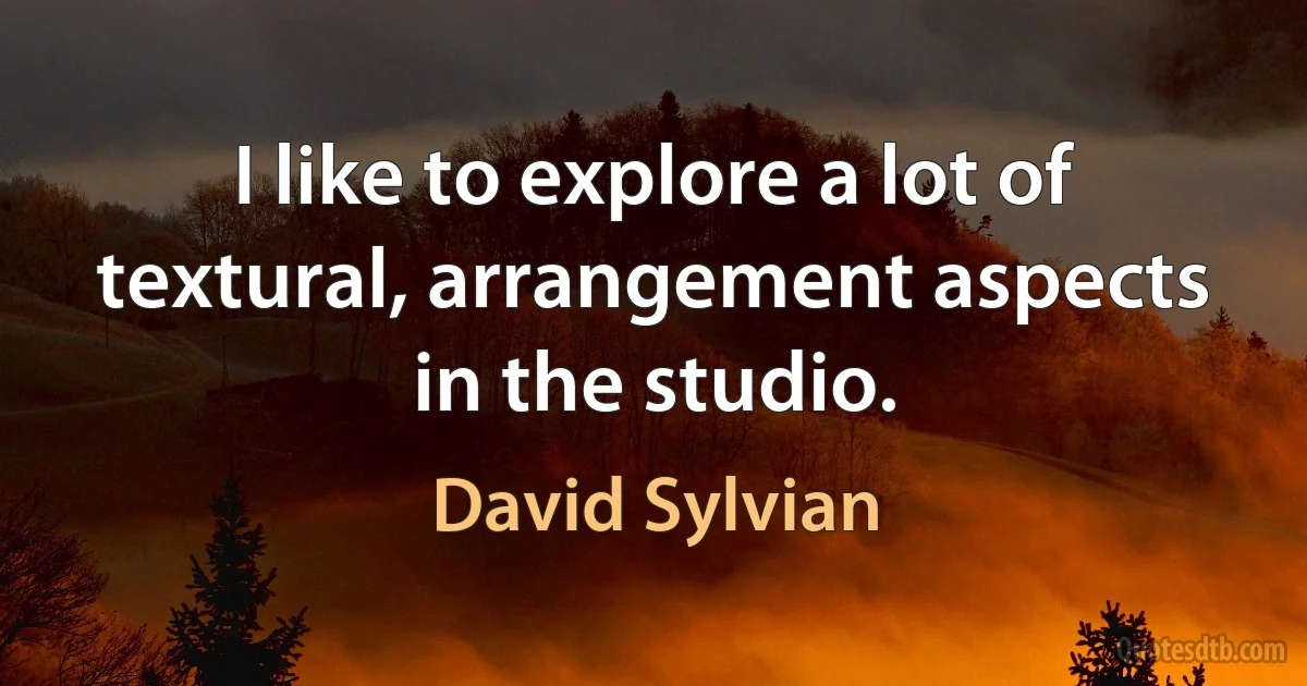 I like to explore a lot of textural, arrangement aspects in the studio. (David Sylvian)