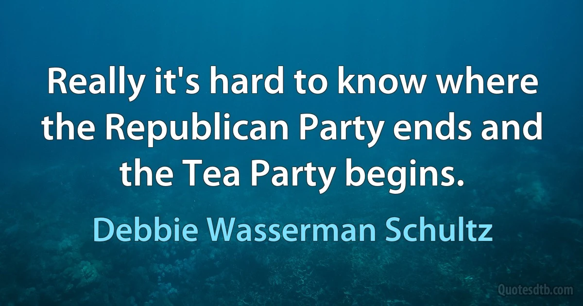 Really it's hard to know where the Republican Party ends and the Tea Party begins. (Debbie Wasserman Schultz)