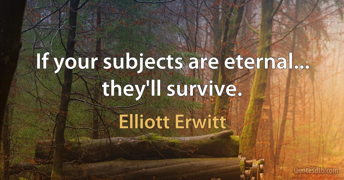 If your subjects are eternal... they'll survive. (Elliott Erwitt)