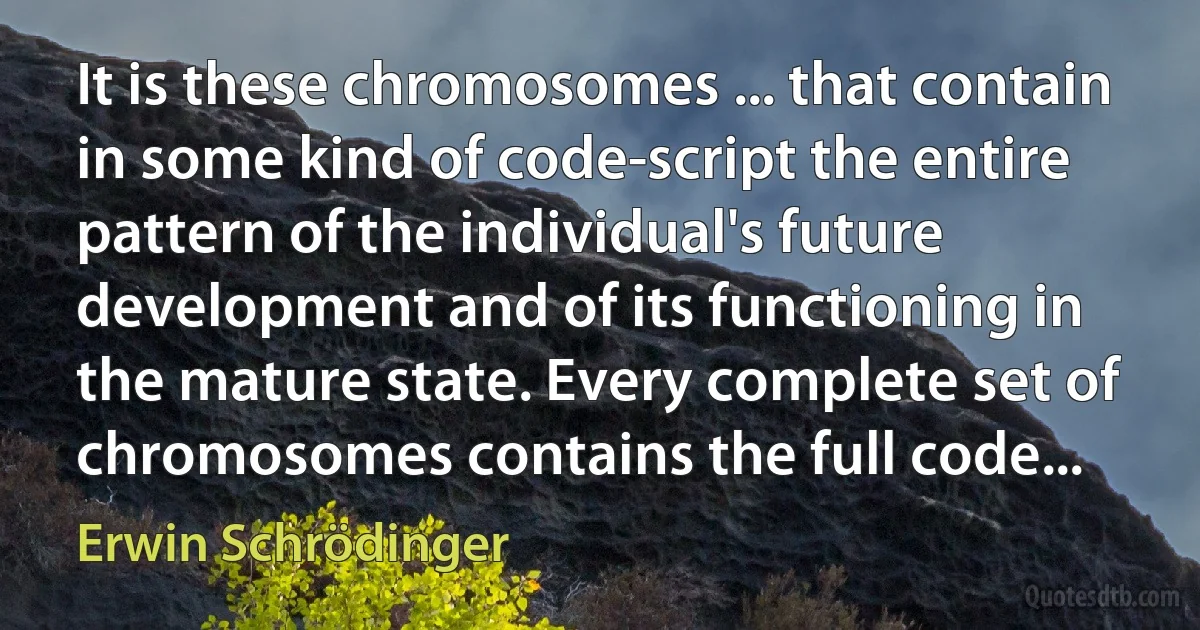 It is these chromosomes ... that contain in some kind of code-script the entire pattern of the individual's future development and of its functioning in the mature state. Every complete set of chromosomes contains the full code... (Erwin Schrödinger)