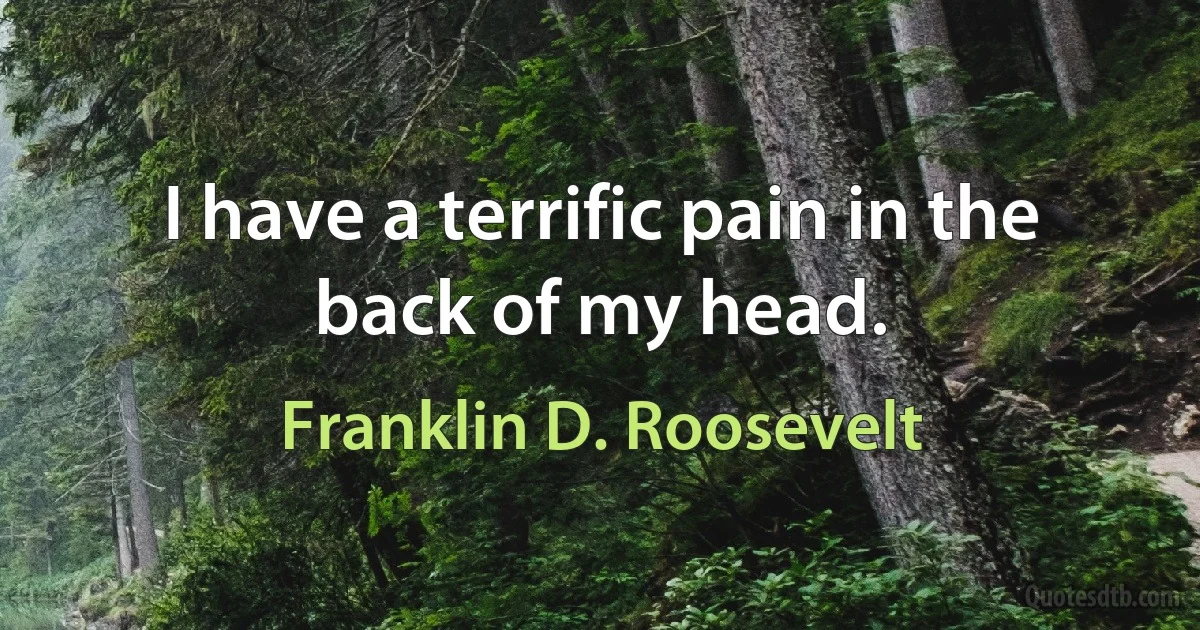 I have a terrific pain in the back of my head. (Franklin D. Roosevelt)