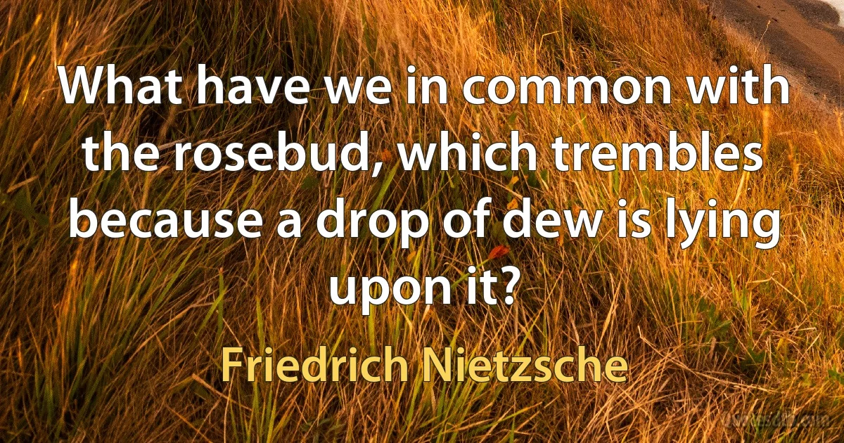 What have we in common with the rosebud, which trembles because a drop of dew is lying upon it? (Friedrich Nietzsche)