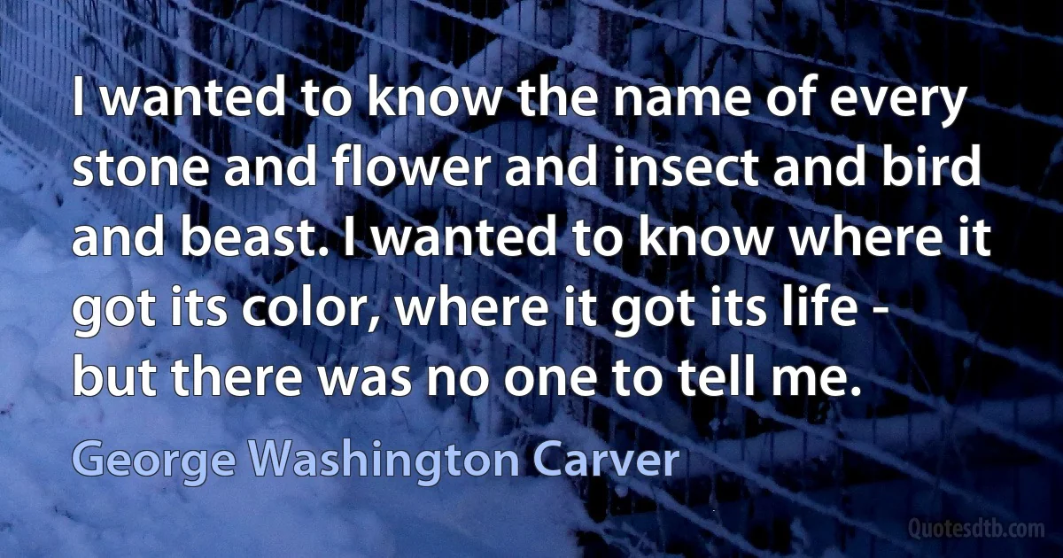 I wanted to know the name of every stone and flower and insect and bird and beast. I wanted to know where it got its color, where it got its life - but there was no one to tell me. (George Washington Carver)