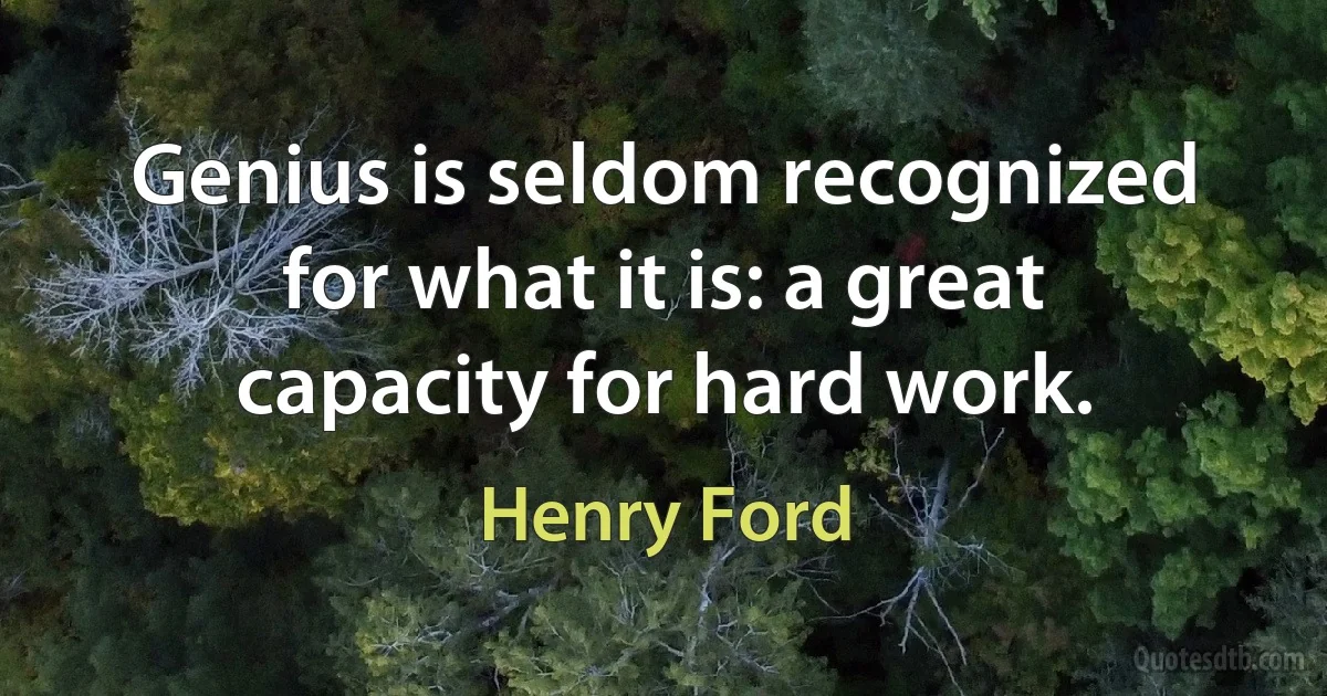 Genius is seldom recognized for what it is: a great capacity for hard work. (Henry Ford)