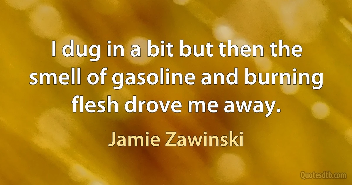 I dug in a bit but then the smell of gasoline and burning flesh drove me away. (Jamie Zawinski)