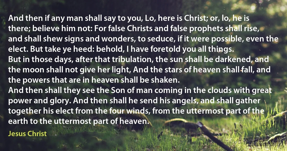 And then if any man shall say to you, Lo, here is Christ; or, lo, he is there; believe him not: For false Christs and false prophets shall rise, and shall shew signs and wonders, to seduce, if it were possible, even the elect. But take ye heed: behold, I have foretold you all things.
But in those days, after that tribulation, the sun shall be darkened, and the moon shall not give her light, And the stars of heaven shall fall, and the powers that are in heaven shall be shaken.
And then shall they see the Son of man coming in the clouds with great power and glory. And then shall he send his angels, and shall gather together his elect from the four winds, from the uttermost part of the earth to the uttermost part of heaven. (Jesus Christ)