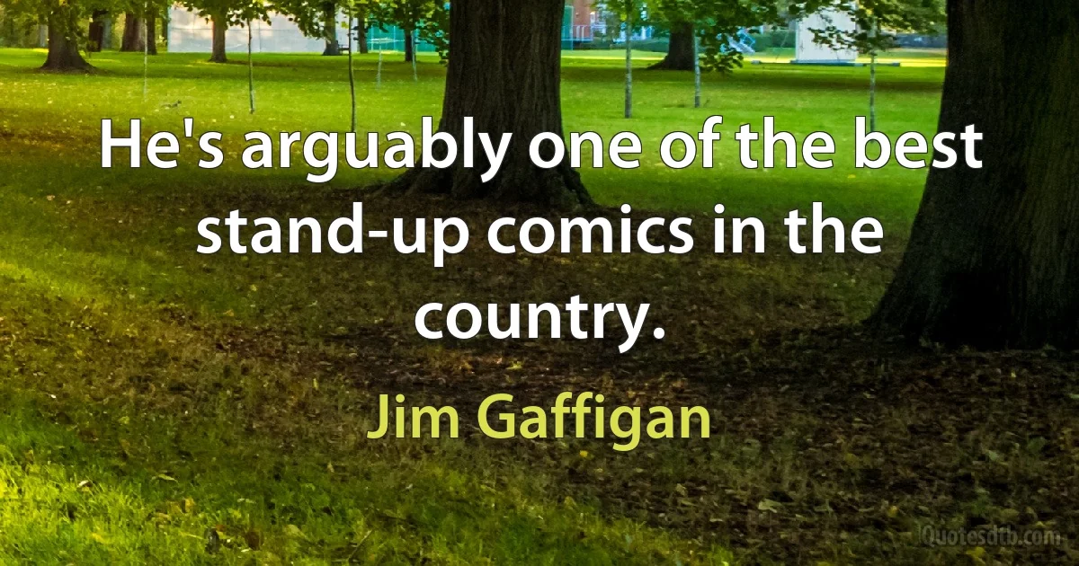 He's arguably one of the best stand-up comics in the country. (Jim Gaffigan)