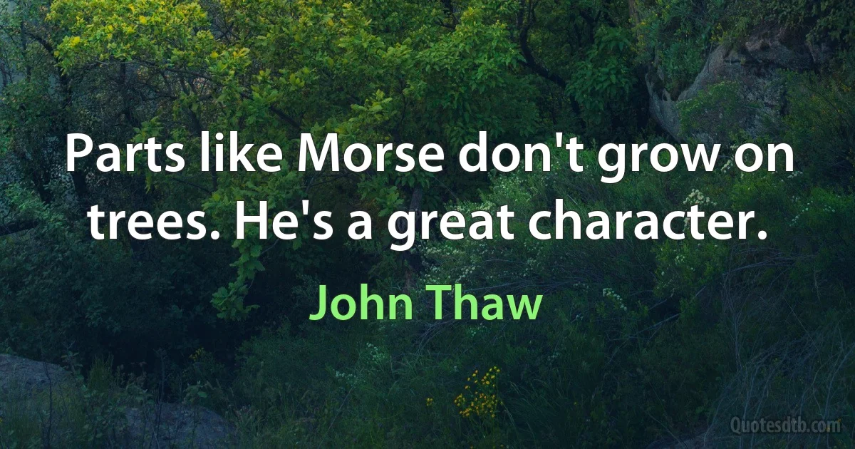 Parts like Morse don't grow on trees. He's a great character. (John Thaw)