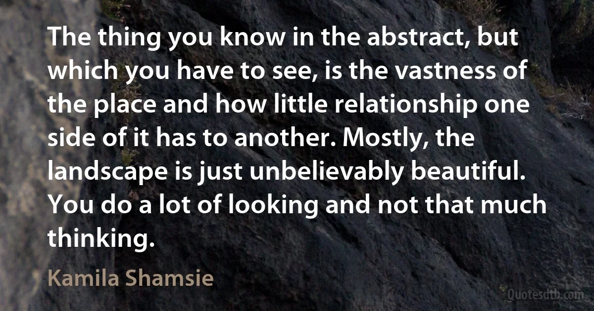 The thing you know in the abstract, but which you have to see, is the vastness of the place and how little relationship one side of it has to another. Mostly, the landscape is just unbelievably beautiful. You do a lot of looking and not that much thinking. (Kamila Shamsie)