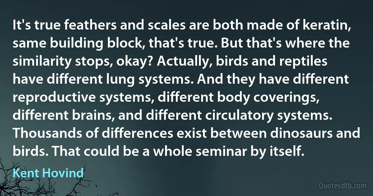 It's true feathers and scales are both made of keratin, same building block, that's true. But that's where the similarity stops, okay? Actually, birds and reptiles have different lung systems. And they have different reproductive systems, different body coverings, different brains, and different circulatory systems. Thousands of differences exist between dinosaurs and birds. That could be a whole seminar by itself. (Kent Hovind)