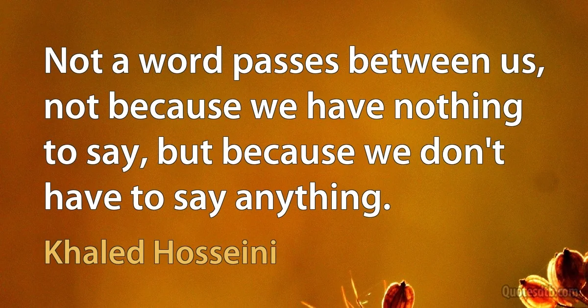 Not a word passes between us, not because we have nothing to say, but because we don't have to say anything. (Khaled Hosseini)