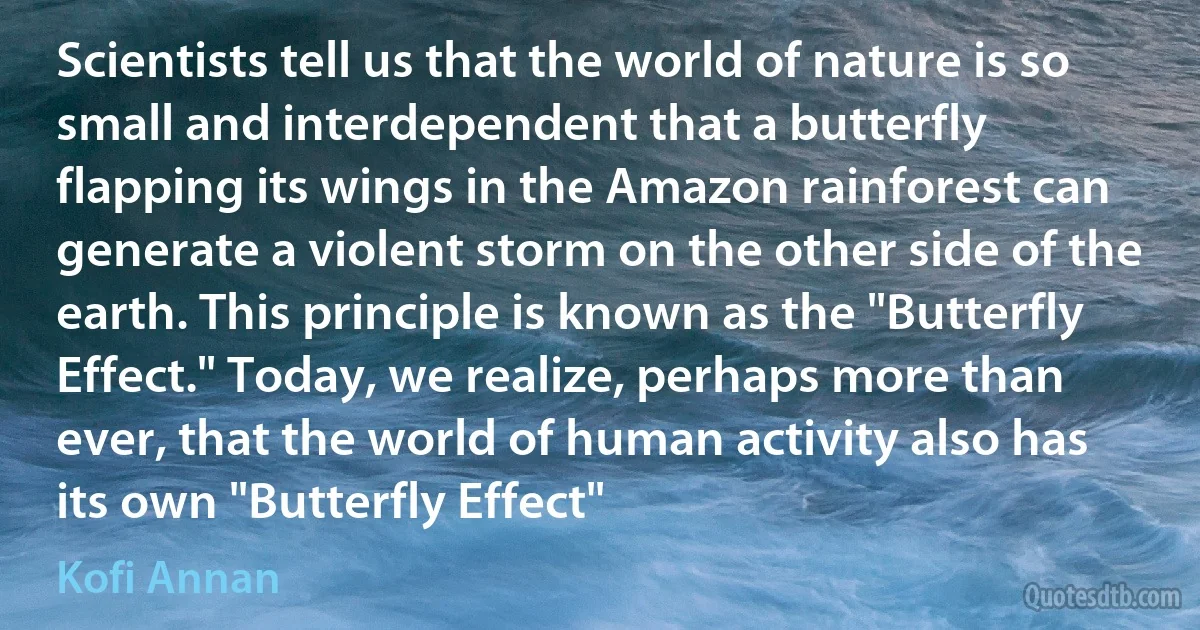 Scientists tell us that the world of nature is so small and interdependent that a butterfly flapping its wings in the Amazon rainforest can generate a violent storm on the other side of the earth. This principle is known as the "Butterfly Effect." Today, we realize, perhaps more than ever, that the world of human activity also has its own "Butterfly Effect" (Kofi Annan)