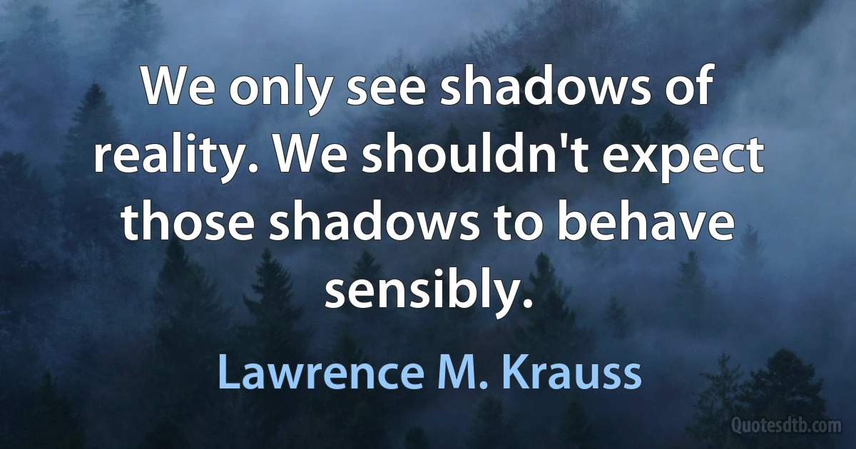 We only see shadows of reality. We shouldn't expect those shadows to behave sensibly. (Lawrence M. Krauss)