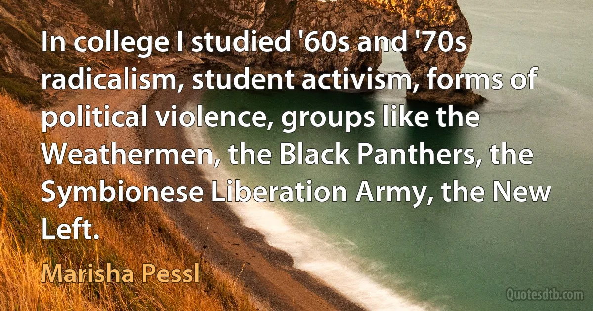 In college I studied '60s and '70s radicalism, student activism, forms of political violence, groups like the Weathermen, the Black Panthers, the Symbionese Liberation Army, the New Left. (Marisha Pessl)