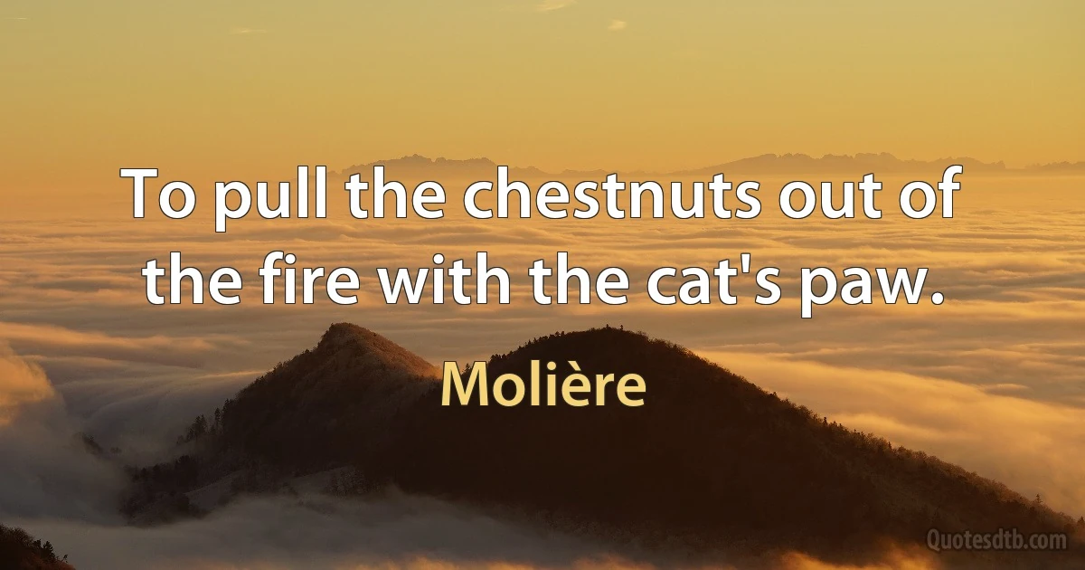 To pull the chestnuts out of the fire with the cat's paw. (Molière)