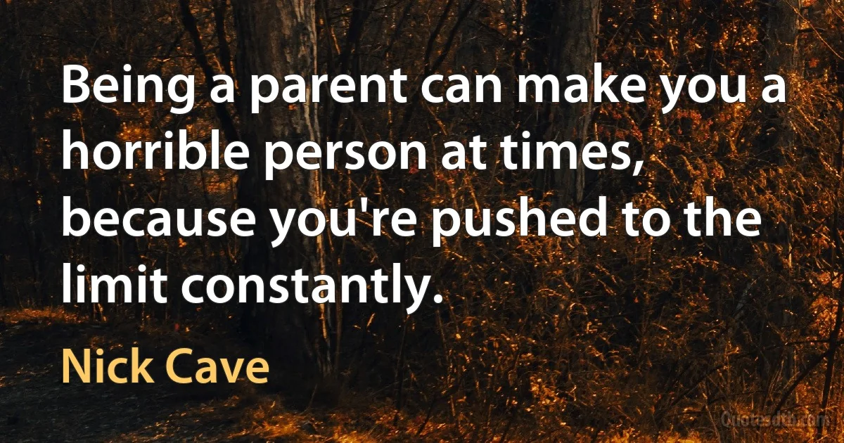 Being a parent can make you a horrible person at times, because you're pushed to the limit constantly. (Nick Cave)