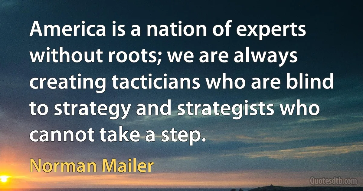 America is a nation of experts without roots; we are always creating tacticians who are blind to strategy and strategists who cannot take a step. (Norman Mailer)