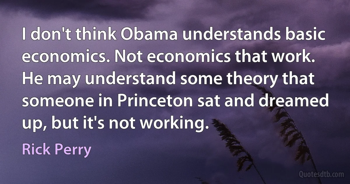 I don't think Obama understands basic economics. Not economics that work. He may understand some theory that someone in Princeton sat and dreamed up, but it's not working. (Rick Perry)