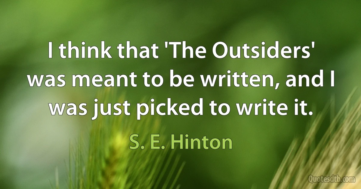 I think that 'The Outsiders' was meant to be written, and I was just picked to write it. (S. E. Hinton)