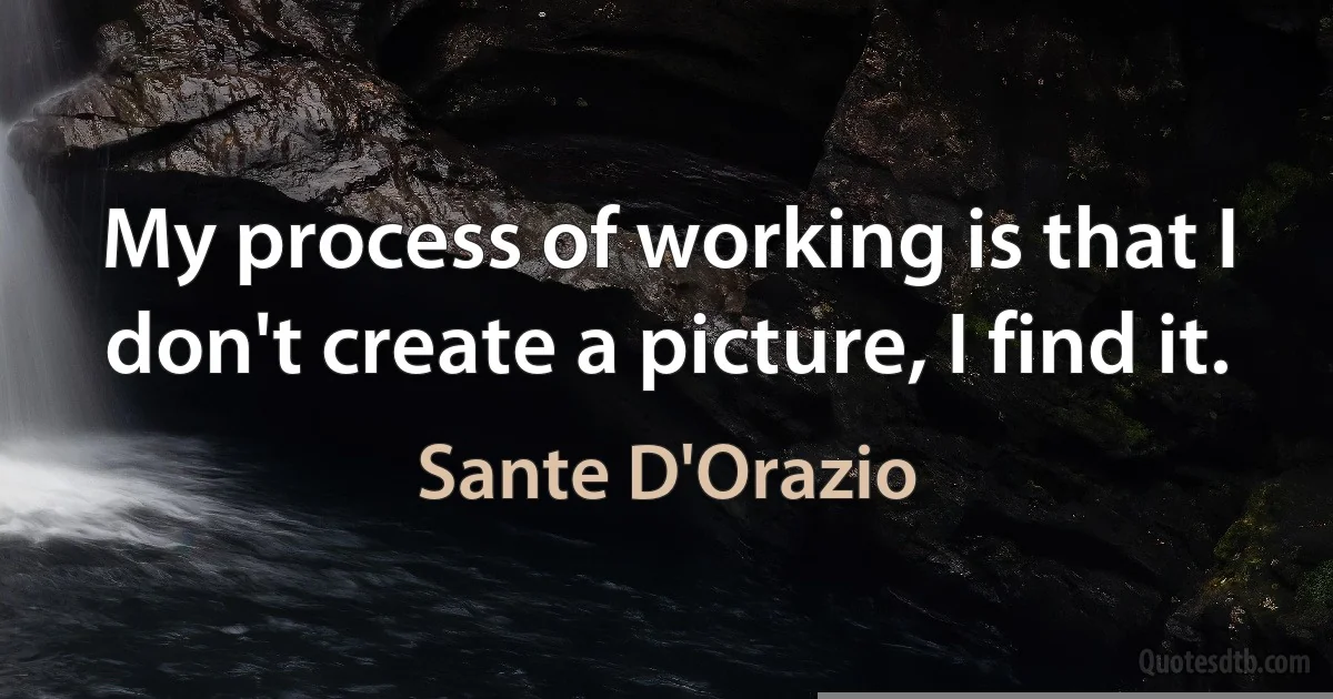 My process of working is that I don't create a picture, I find it. (Sante D'Orazio)