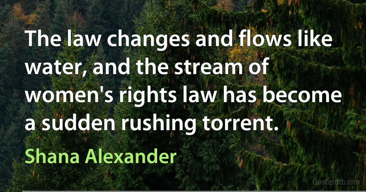 The law changes and flows like water, and the stream of women's rights law has become a sudden rushing torrent. (Shana Alexander)