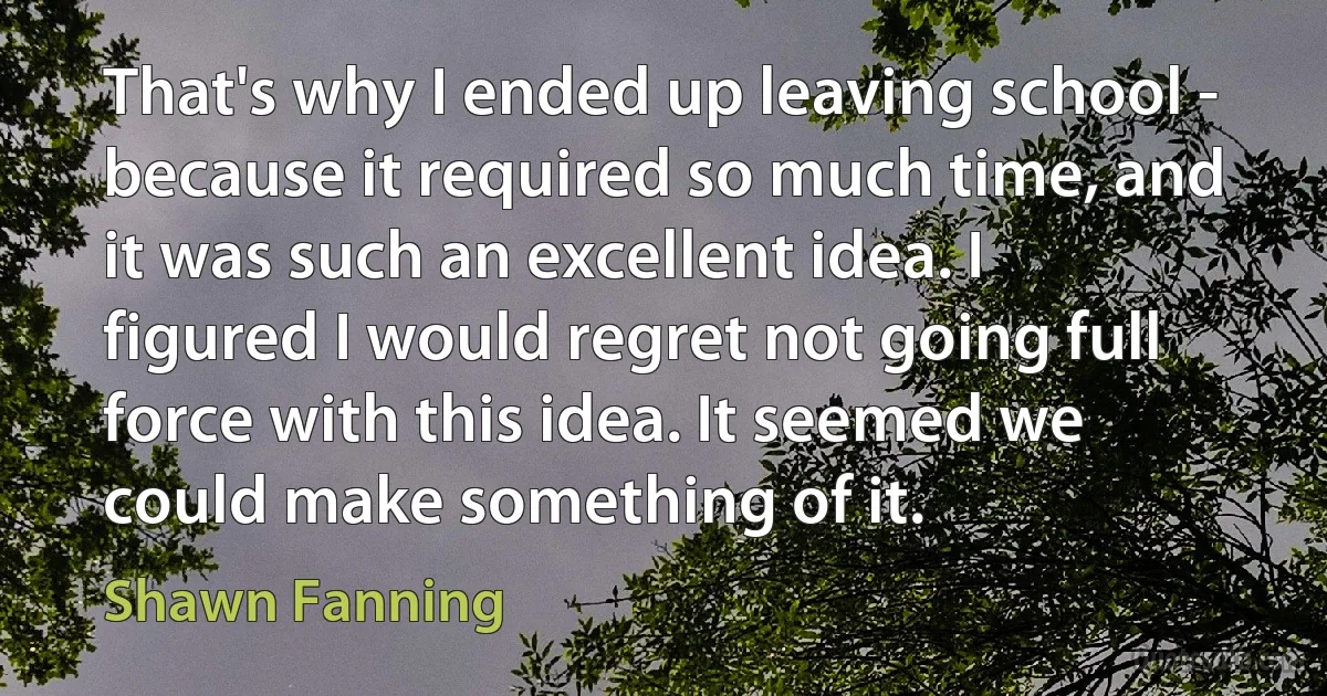 That's why I ended up leaving school - because it required so much time, and it was such an excellent idea. I figured I would regret not going full force with this idea. It seemed we could make something of it. (Shawn Fanning)