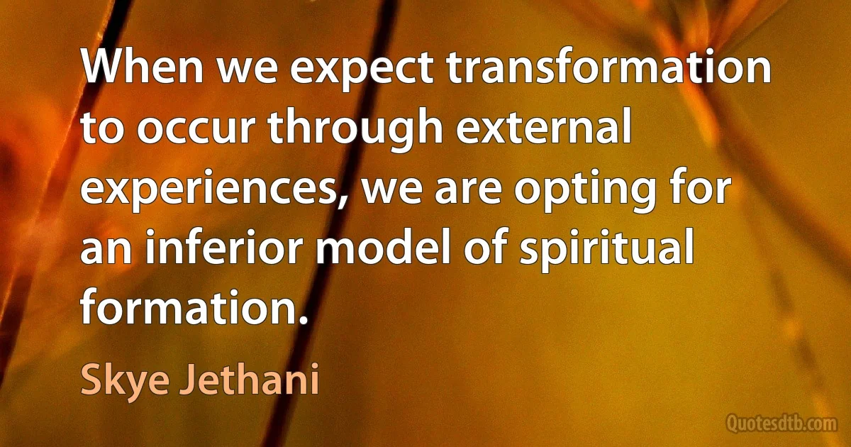 When we expect transformation to occur through external experiences, we are opting for an inferior model of spiritual formation. (Skye Jethani)