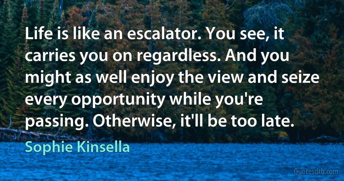 Life is like an escalator. You see, it carries you on regardless. And you might as well enjoy the view and seize every opportunity while you're passing. Otherwise, it'll be too late. (Sophie Kinsella)