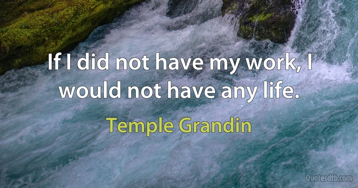 If I did not have my work, I would not have any life. (Temple Grandin)