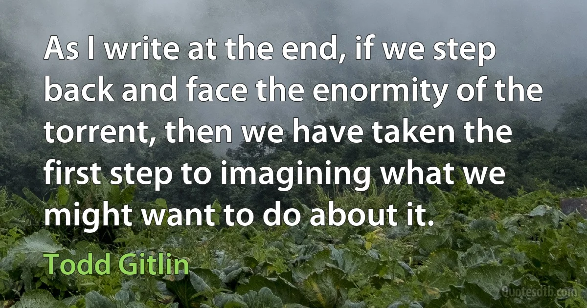 As I write at the end, if we step back and face the enormity of the torrent, then we have taken the first step to imagining what we might want to do about it. (Todd Gitlin)