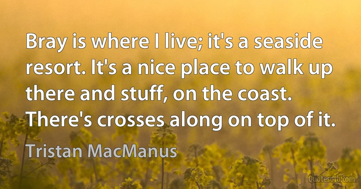 Bray is where I live; it's a seaside resort. It's a nice place to walk up there and stuff, on the coast. There's crosses along on top of it. (Tristan MacManus)