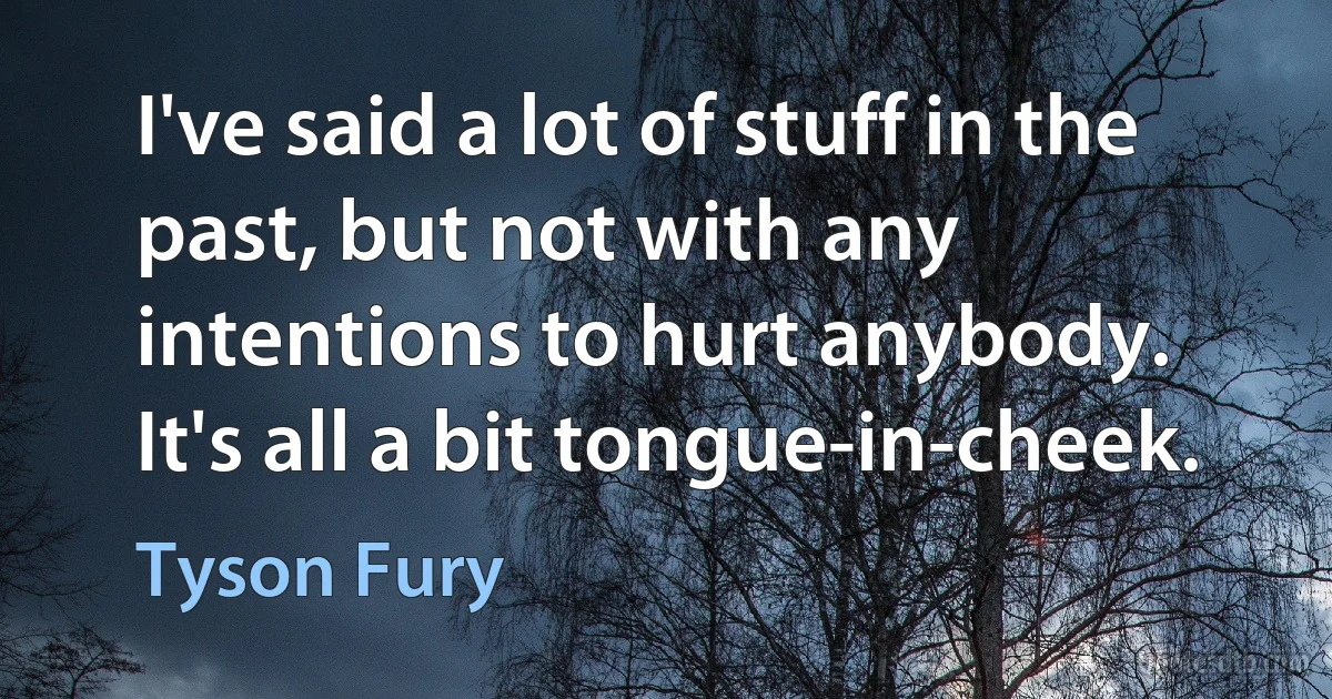 I've said a lot of stuff in the past, but not with any intentions to hurt anybody. It's all a bit tongue-in-cheek. (Tyson Fury)