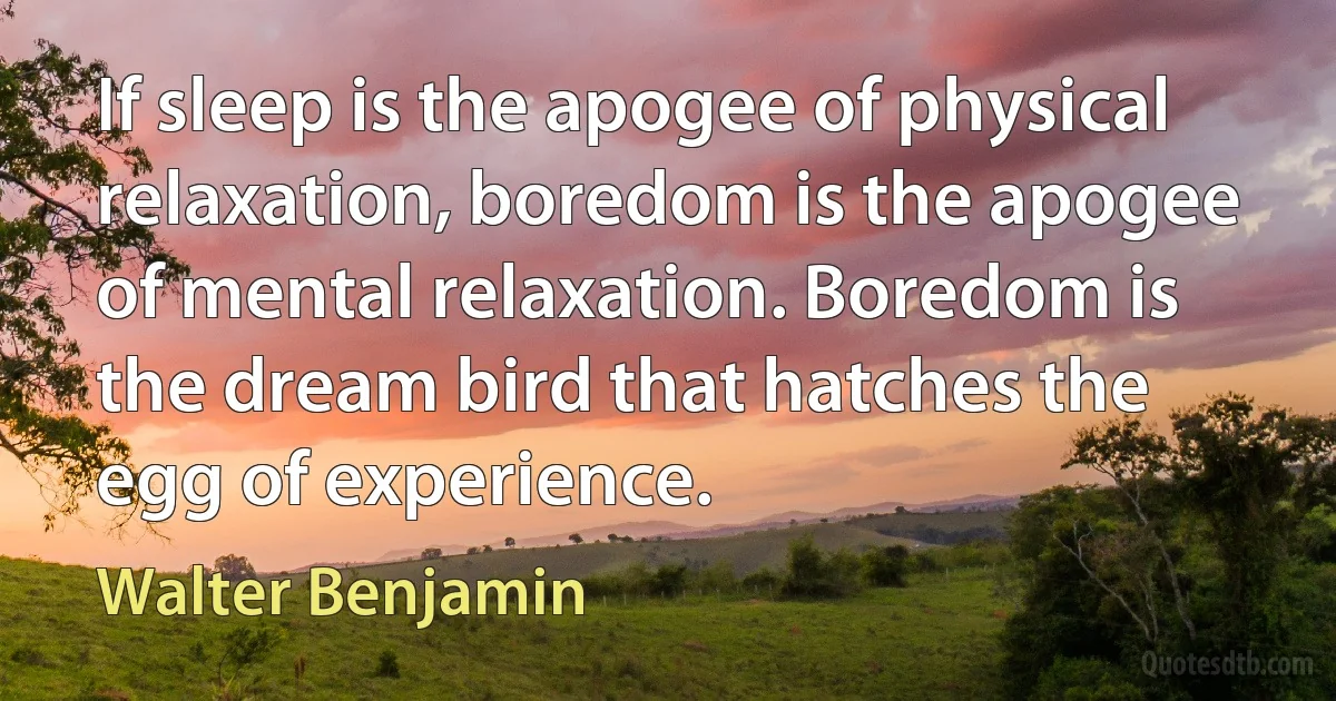 If sleep is the apogee of physical relaxation, boredom is the apogee of mental relaxation. Boredom is the dream bird that hatches the egg of experience. (Walter Benjamin)