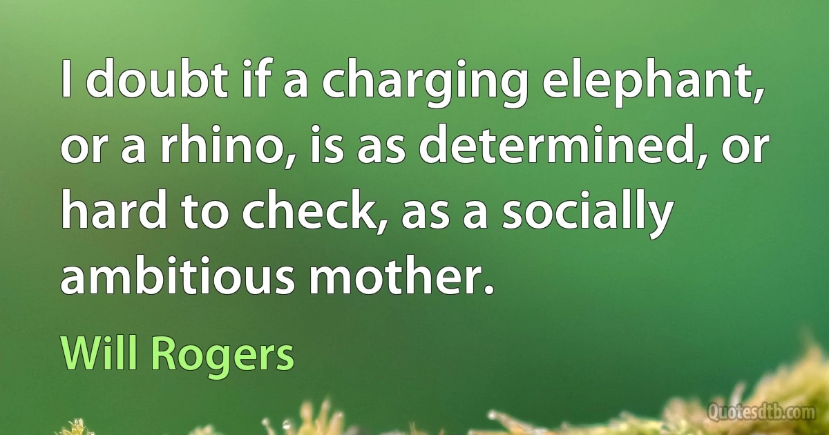 I doubt if a charging elephant, or a rhino, is as determined, or hard to check, as a socially ambitious mother. (Will Rogers)