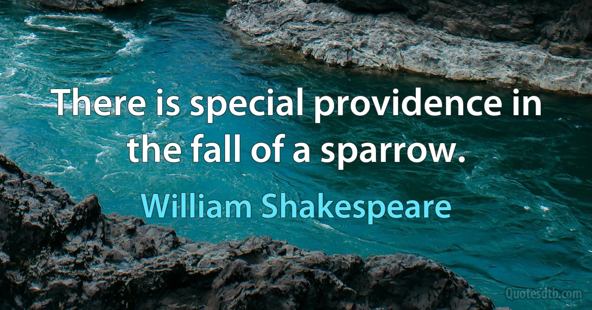 There is special providence in the fall of a sparrow. (William Shakespeare)