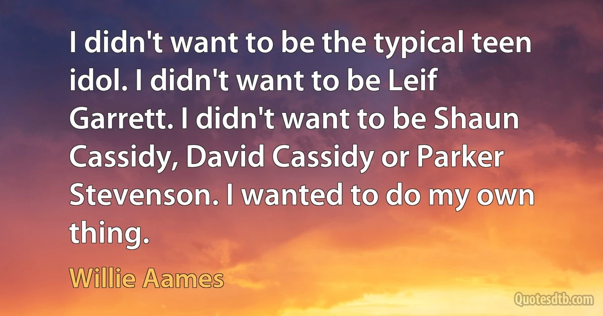 I didn't want to be the typical teen idol. I didn't want to be Leif Garrett. I didn't want to be Shaun Cassidy, David Cassidy or Parker Stevenson. I wanted to do my own thing. (Willie Aames)