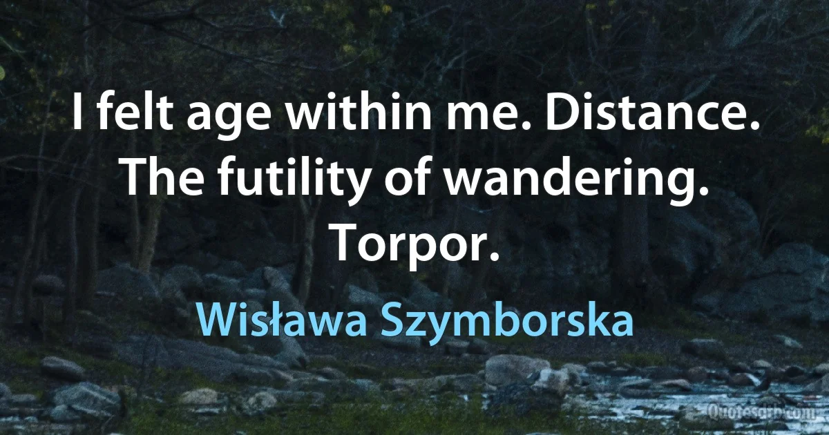 I felt age within me. Distance.
The futility of wandering. Torpor. (Wisława Szymborska)