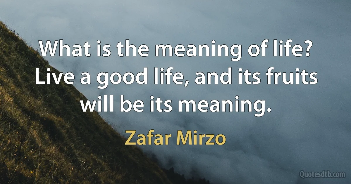 What is the meaning of life? Live a good life, and its fruits will be its meaning. (Zafar Mirzo)