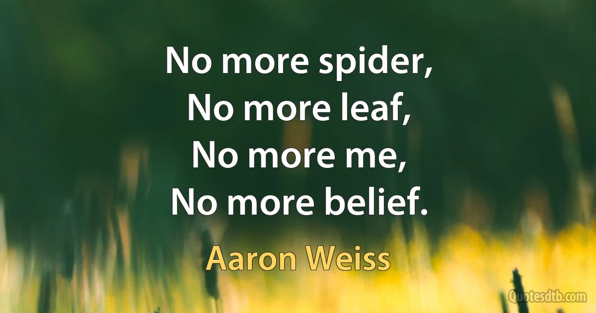 No more spider,
No more leaf,
No more me,
No more belief. (Aaron Weiss)