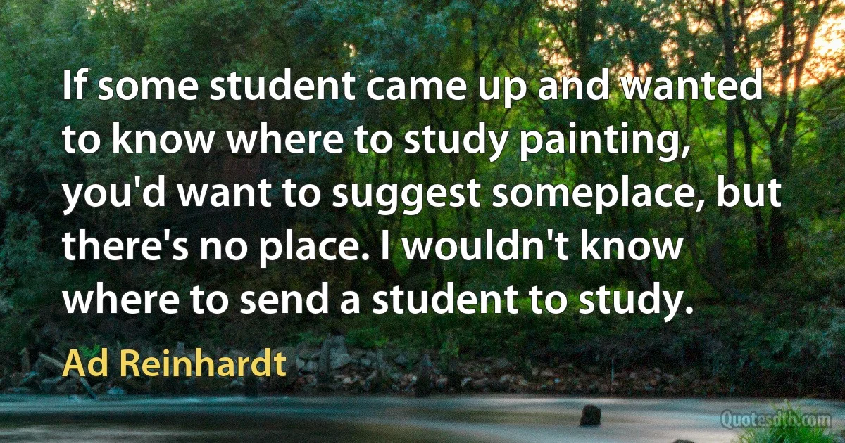 If some student came up and wanted to know where to study painting, you'd want to suggest someplace, but there's no place. I wouldn't know where to send a student to study. (Ad Reinhardt)